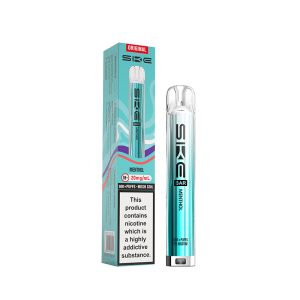 SKE BAR 600 MENTHOL VAPE KIT